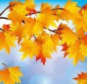 今天早上6点多起床，睡够了的心情是愉悦的