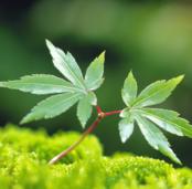 某月某日，写一笔温情诗篇，只是在憧憬一些美好的生活