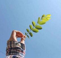 回想起从小到大的经历，我真的是一个非常幸运的人