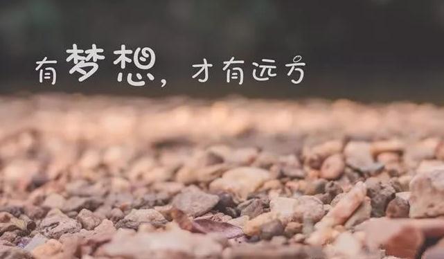 mengxiangyf