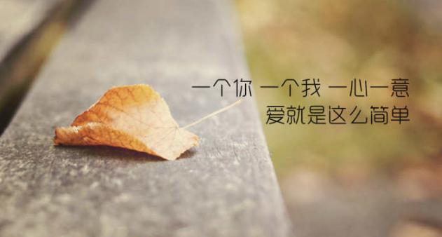aiqingyl