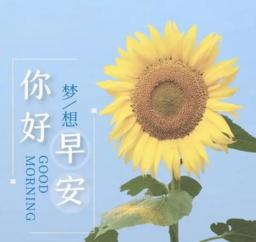 你的美好需要自己成全