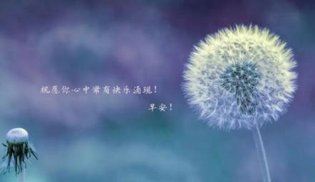 xihuanyw