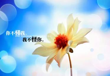 baochiwx